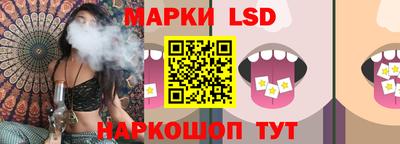 Альфа ПВП Ачхой-Мартан
