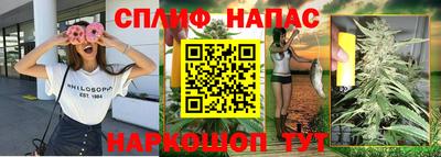 Альфа ПВП Ачхой-Мартан