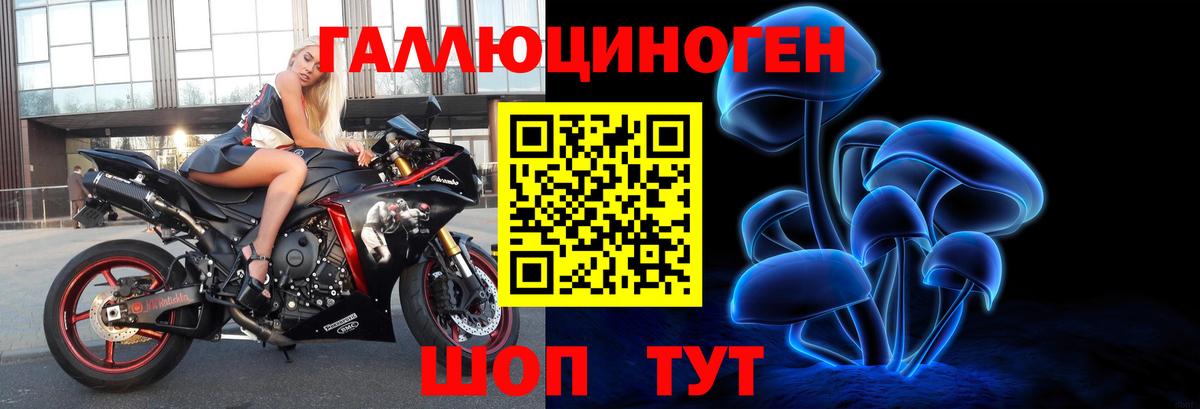 Псилоцибиновые грибы мицелий Алатырь